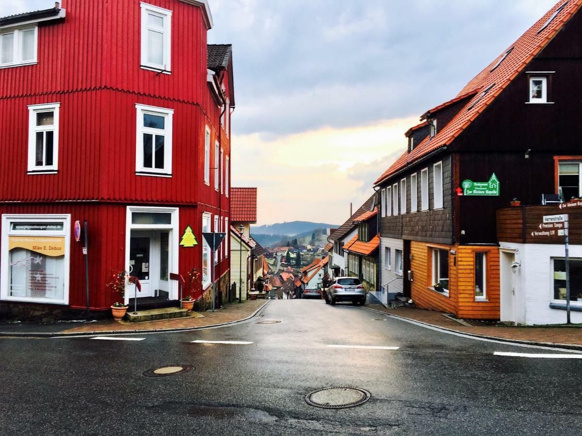 Luchsbutze Lejlighed Sankt Andreasberg Eksteriør billede